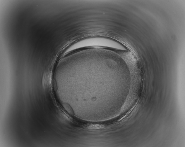 X0000087680397200705111304