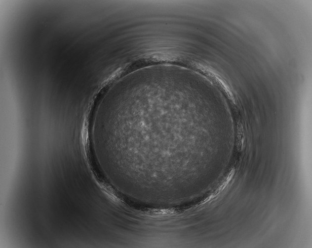 X0000087680398200705111304