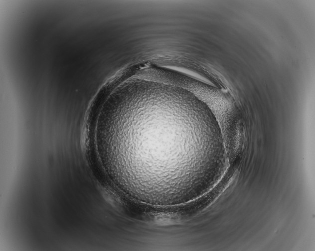 X0000087680400200705111304