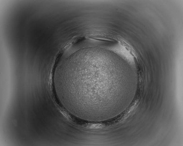 X0000087680401200705111304