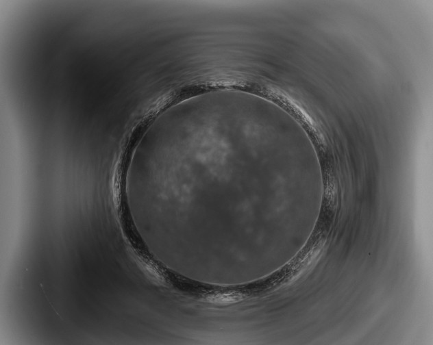 X0000087680402200705111304