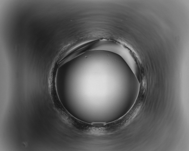 X0000087680403200705111304