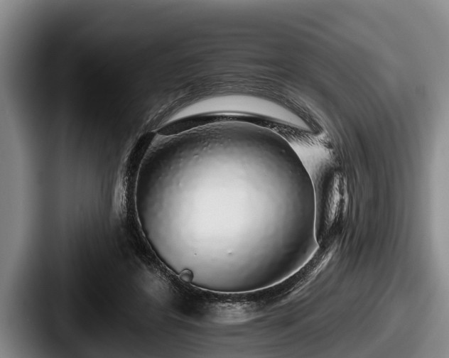 X0000087680404200705111304