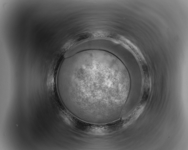 X0000087680405200705111304