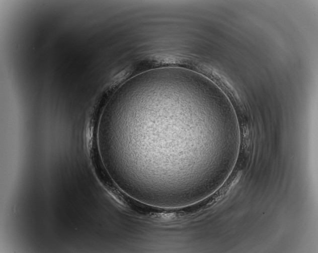 X0000087680406200705111304