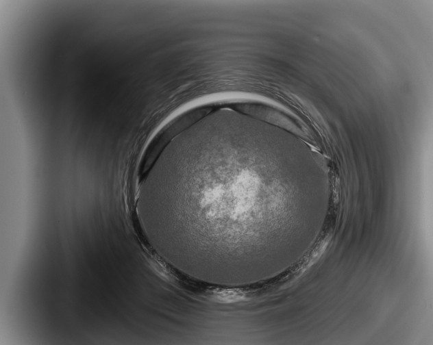 X0000087680409200705111304