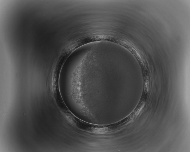 X0000087680410200705111304