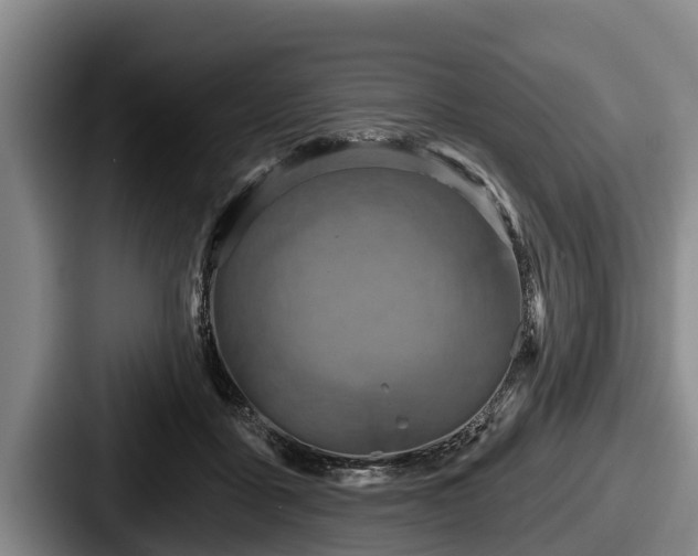 X0000087680411200705111304