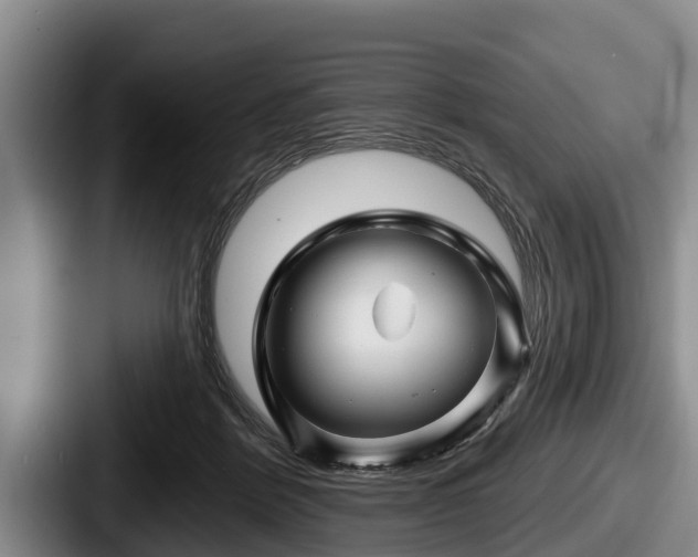 X0000087680412200705111304