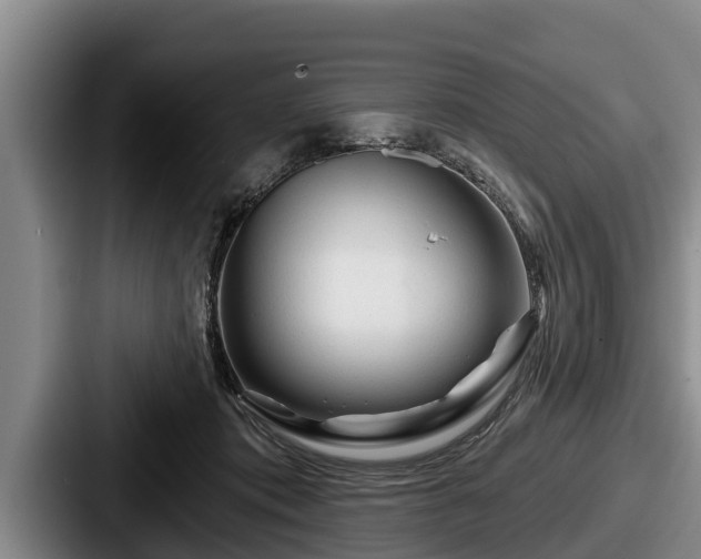 X0000087680413200705111304