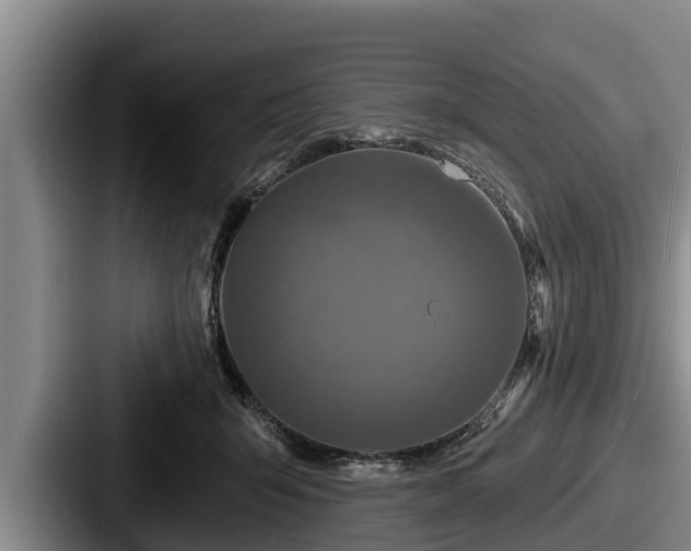 X0000087680415200705111304