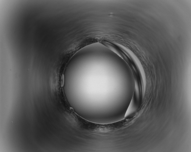 X0000087680416200705111304