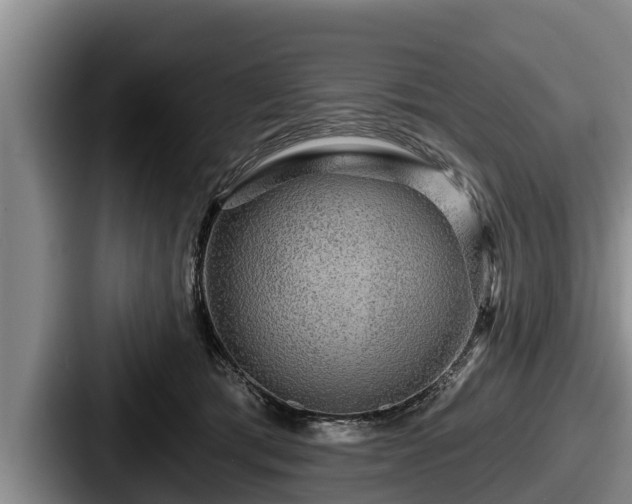 X0000087680417200705111304