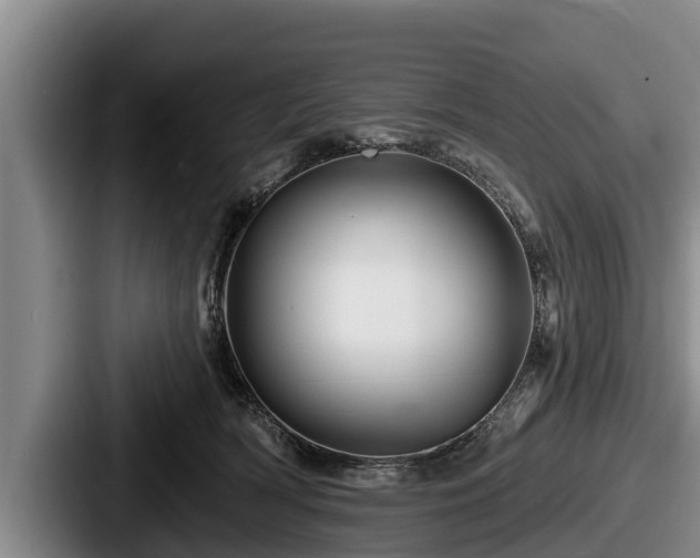 X0000087680418200705111304