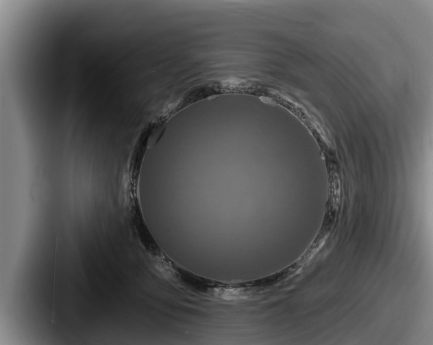 X0000087680419200705111304