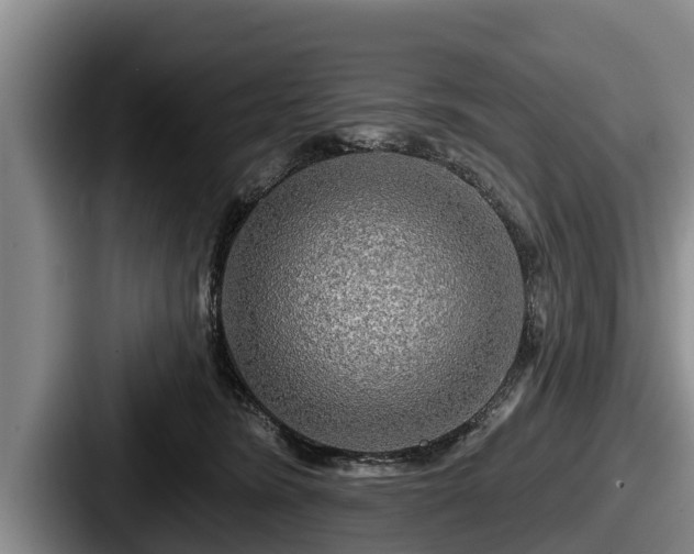 X0000087680420200705111304