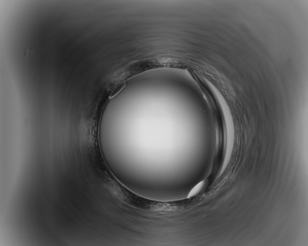 X0000087680421200705111304