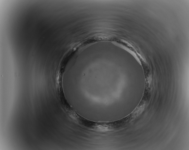 X0000087680423200705111304