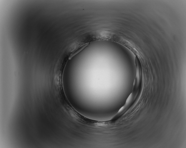 X0000087680425200705111304