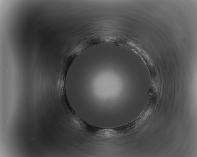 X0000087680427200705111304