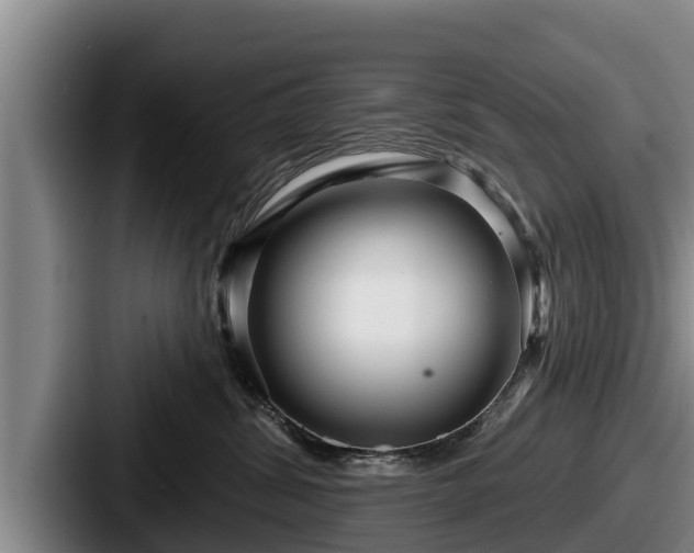 X0000087680428200705111304