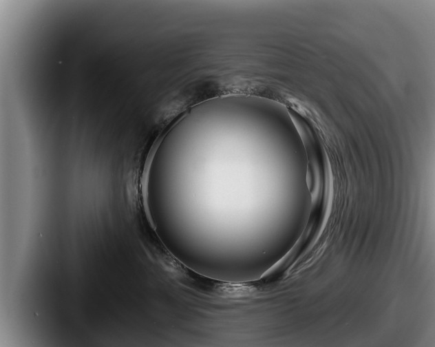 X0000087680429200705111304