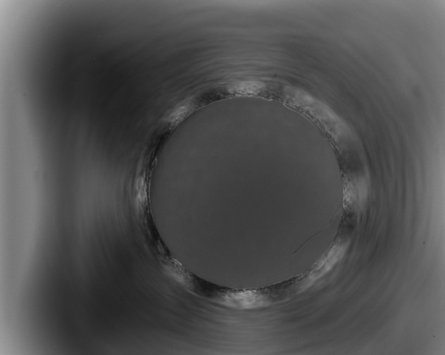 X0000087680431200705111304