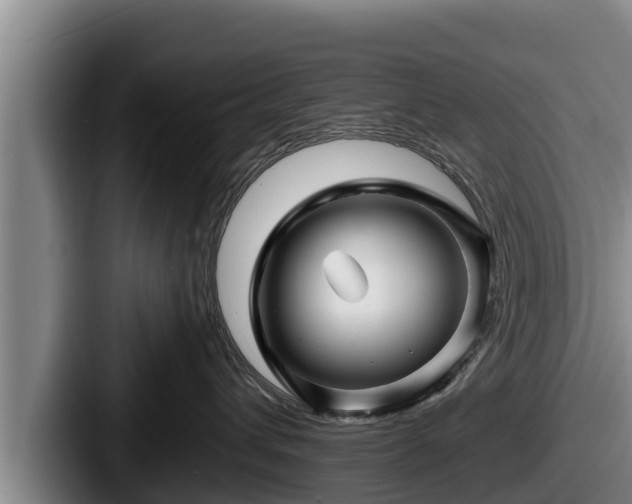 X0000087680432200705111304