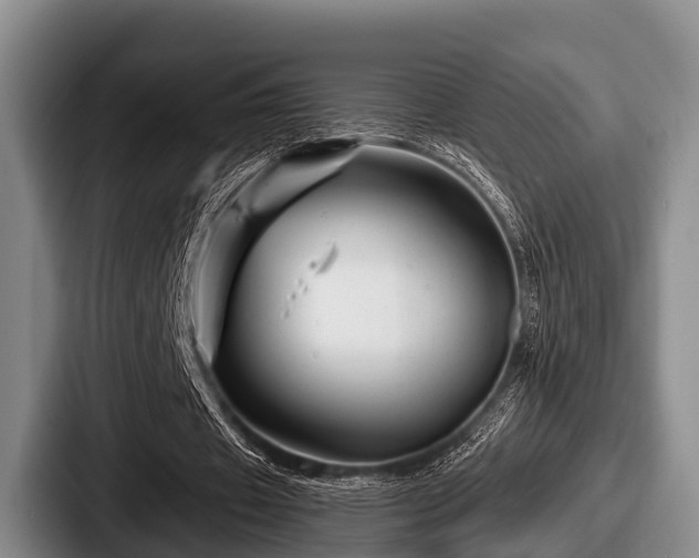 X0000087680433200705111303