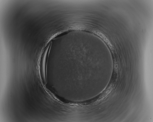 X0000087680434200705111303