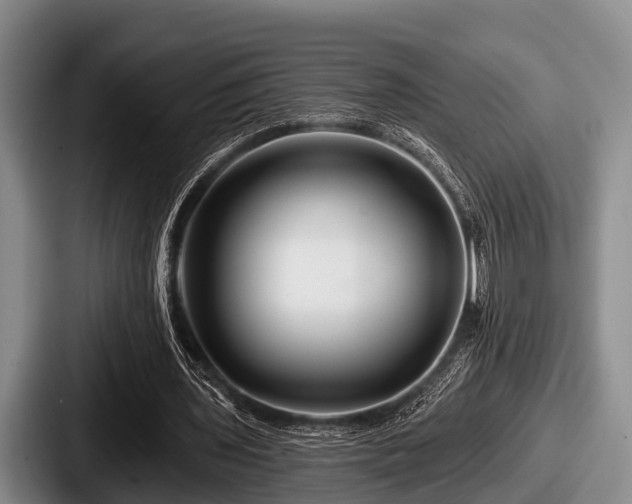 X0000087680435200705111303