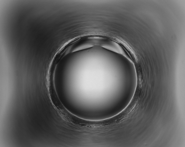 X0000087680436200705111303