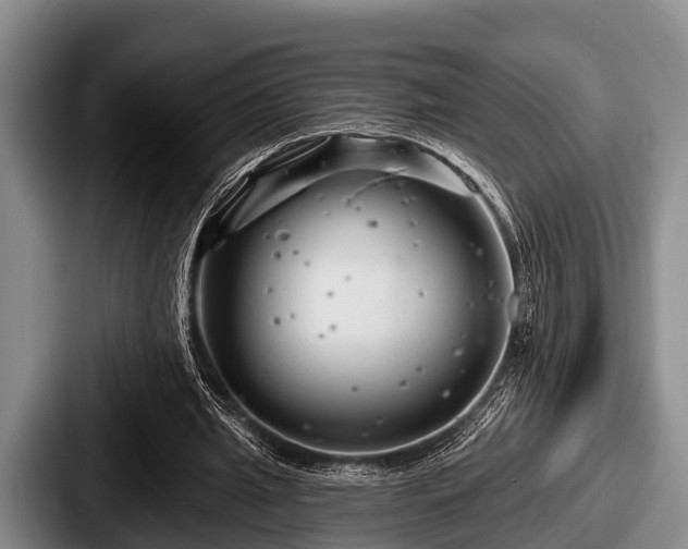 X0000087680437200705111303