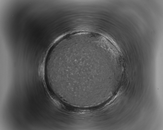 X0000087680438200705111303