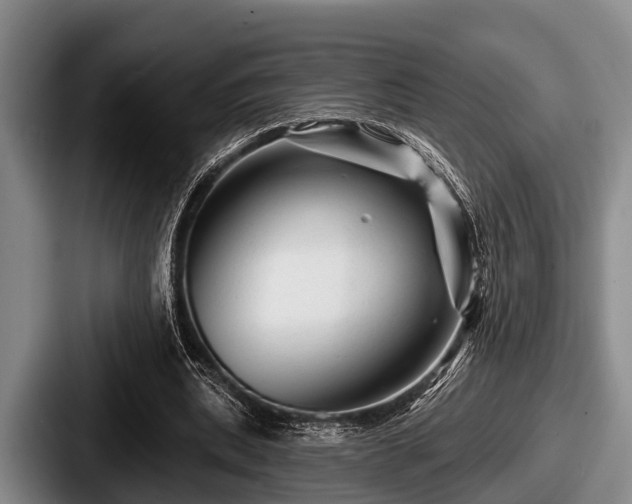 X0000087680439200705111303