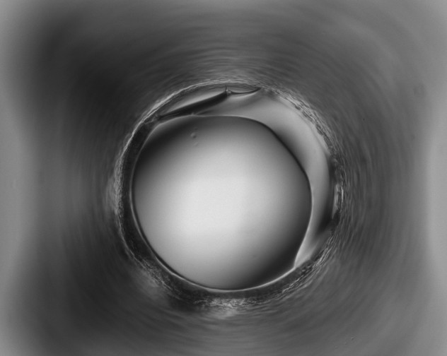 X0000087680440200705111303