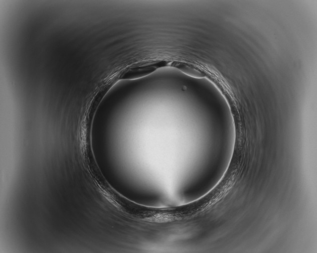 X0000087680441200705111303