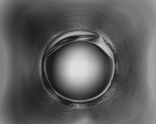 X0000087680442200705111303