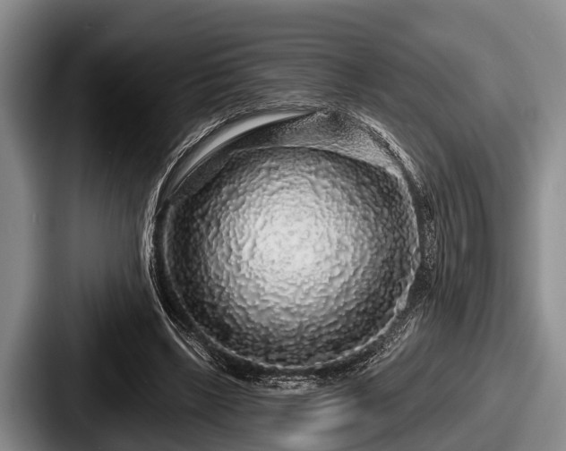 X0000087680443200705111304