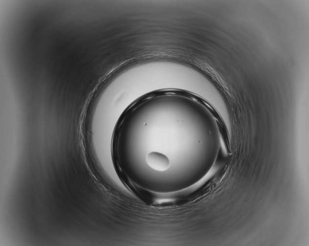 X0000087680444200705111304