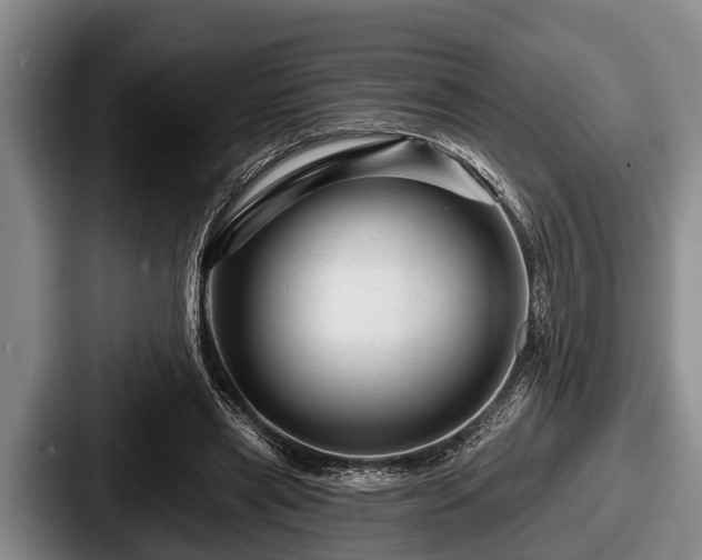 X0000087680445200705111304