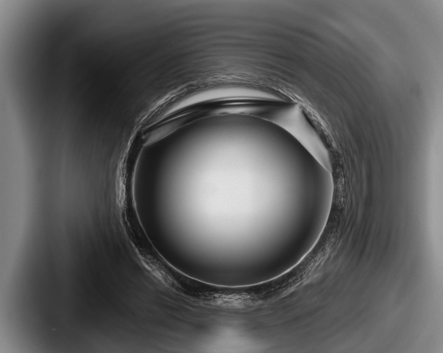 X0000087680446200705111304