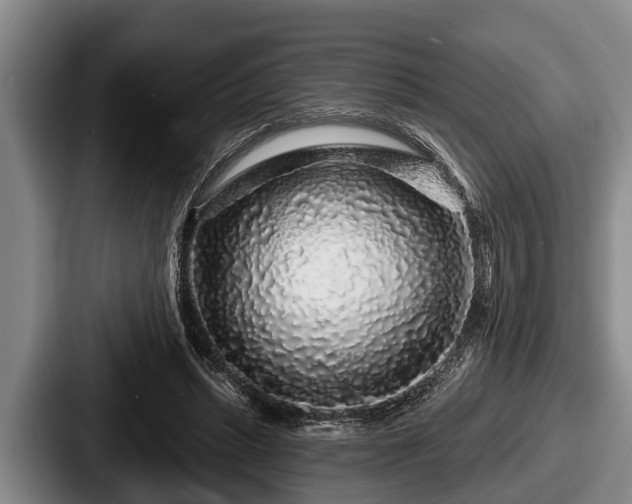 X0000087680447200705111304