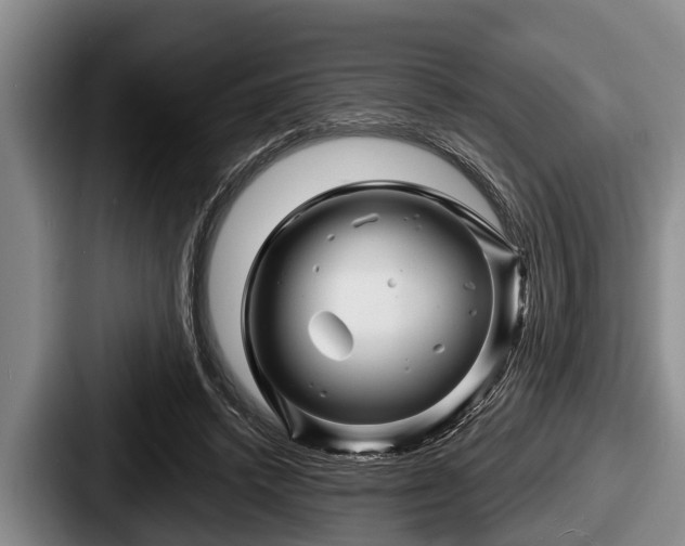 X0000087680448200705111304