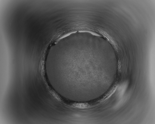 X0000087680449200705111304