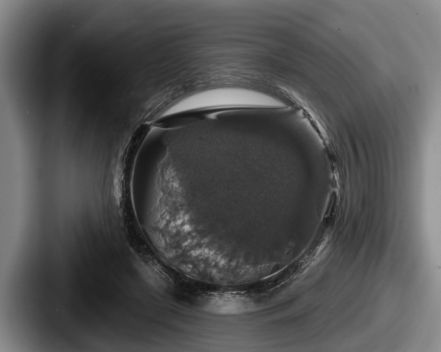 X0000087680451200705111304