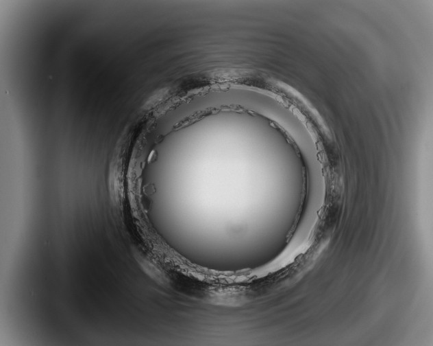 X0000087680452200705111304
