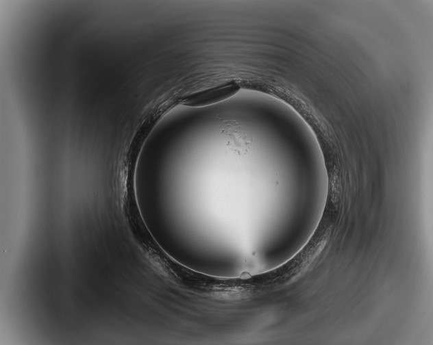 X0000087680454200705111304