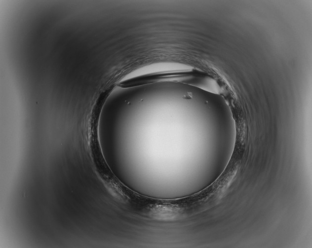 X0000087680455200705111304