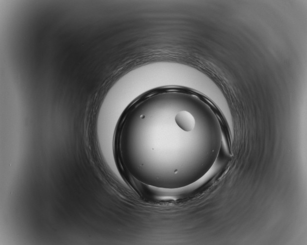 X0000087680456200705111304